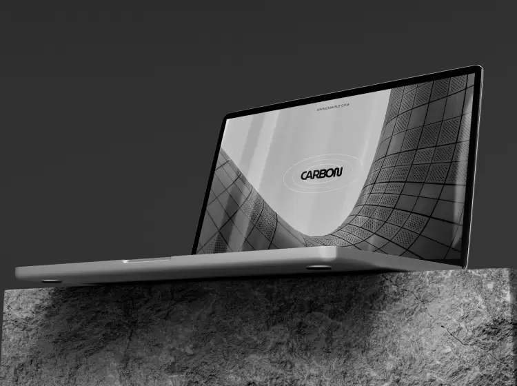 portfolio img 1